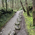 台灣山毛櫸國家步道 宜蘭山毛櫸步道57.JPG