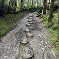 台灣山毛櫸國家步道 宜蘭山毛櫸步道56.JPG