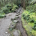 台灣山毛櫸國家步道 宜蘭山毛櫸步道58.JPG