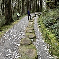 台灣山毛櫸國家步道 宜蘭山毛櫸步道62.JPG