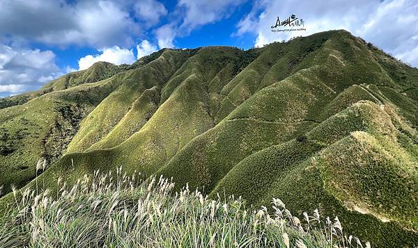 宜蘭抹茶山 .jpg