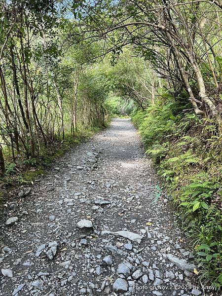 聖母登山步道 宜蘭抹茶山步道14.JPG