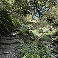 聖母登山步道 宜蘭抹茶山步道18.JPG