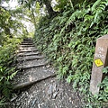 聖母登山步道 宜蘭抹茶山步道22.JPG