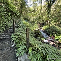 聖母登山步道 宜蘭抹茶山步道20.JPG