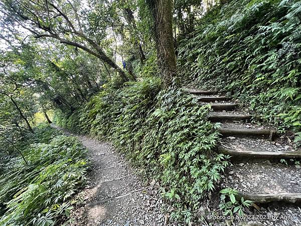 聖母登山步道 宜蘭抹茶山步道21.JPG