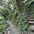 聖母登山步道 宜蘭抹茶山步道21.JPG