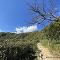 聖母登山步道 宜蘭抹茶山步道25.JPG