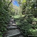 聖母登山步道 宜蘭抹茶山步道24.JPG