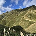 聖母登山步道 宜蘭抹茶山步道 抹茶山32