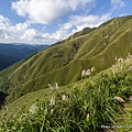 聖母登山步道 宜蘭抹茶山步道 抹茶山49