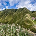 聖母登山步道 宜蘭抹茶山步道 抹茶山42