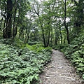 聖母登山步道 宜蘭抹茶山步道54.JPG