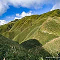 聖母登山步道 宜蘭抹茶山步道 抹茶山51