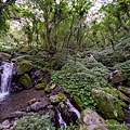 聖母登山步道 宜蘭抹茶山步道57.JPG