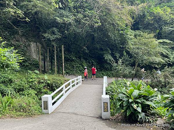 聖母登山步道 宜蘭抹茶山步道 通天橋59