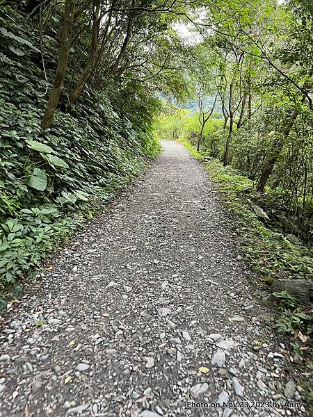 聖母登山步道 宜蘭抹茶山步道60.JPG