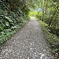 聖母登山步道 宜蘭抹茶山步道60.JPG