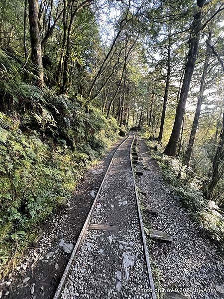 見晴步道 太平山步道5.JPG