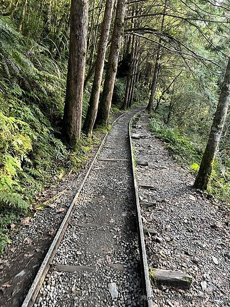 見晴步道 太平山步道4.JPG