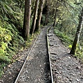 見晴步道 太平山步道4.JPG