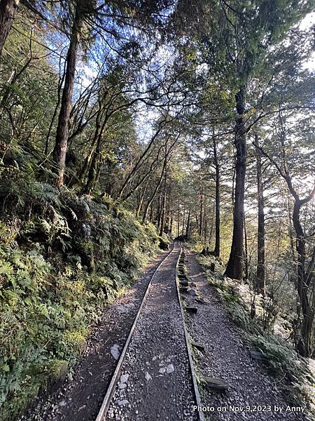 見晴步道 太平山步道6.JPG