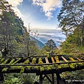 見晴步道 太平山步道14.JPG