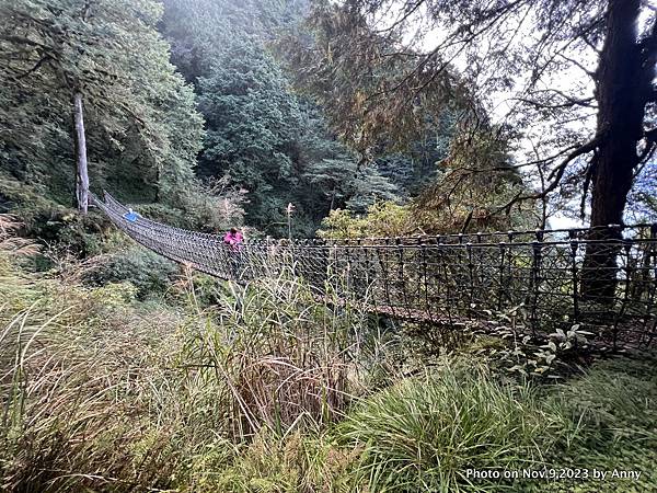 見晴步道 太平山步道19.JPG