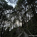 見晴步道 太平山步道21.JPG