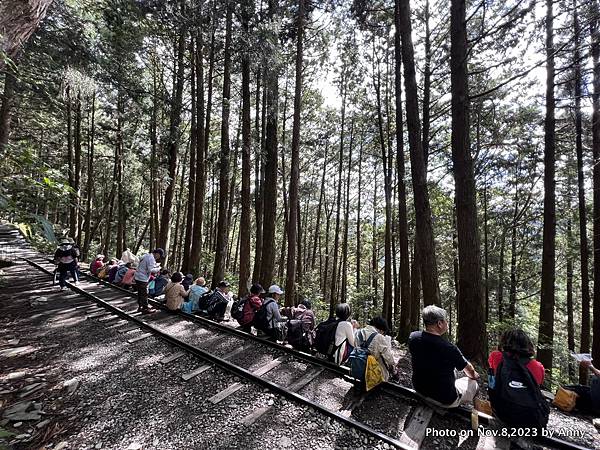 茂興懷舊步道 茂興國家步道6.JPG