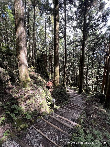 茂興懷舊步道 茂興國家步道17.JPG