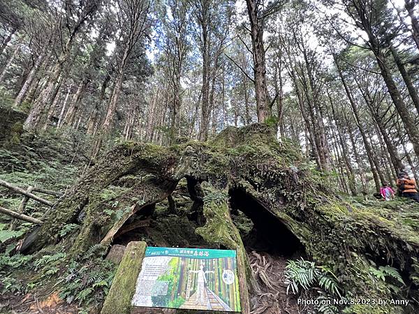 茂興懷舊步道 茂興國家步道20.JPG