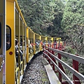 太平山蹦蹦車26.JPG