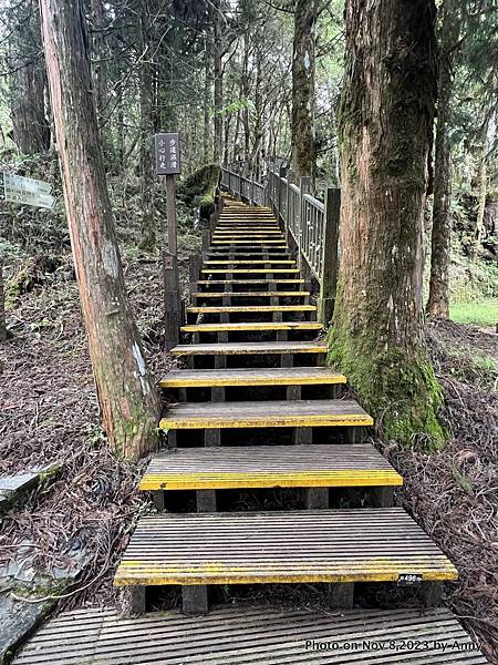 太平山原始森林公園 檜木原始林步道