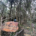 太平山原始森林公園 鐵杉林自然步道 18.JPG