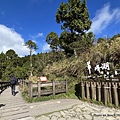 翠峰湖環山步道東口6