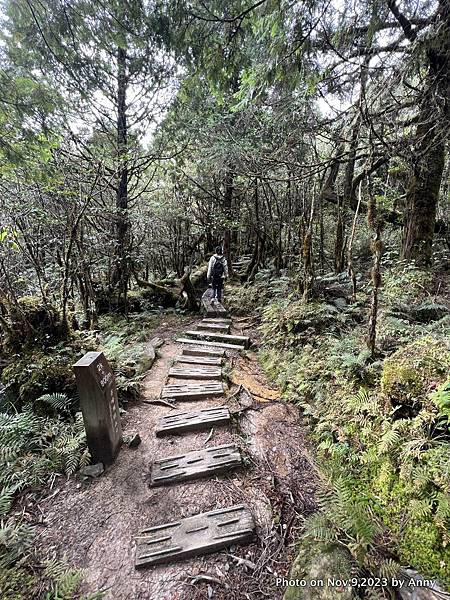 翠峰湖環山步道 寂靜山徑10