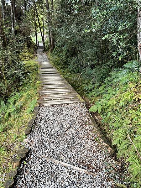 翠峰湖環山步道27.JPG