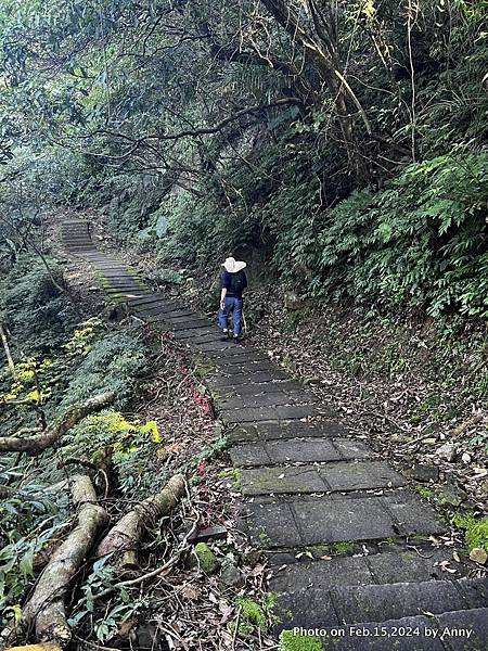 桃源谷步道(大溪線)45