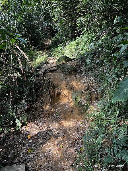 草嶺古道福隆路線122