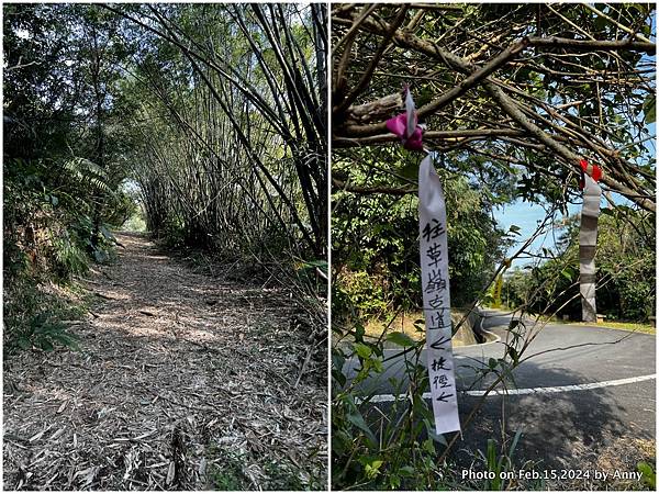 草嶺古道福隆路線28