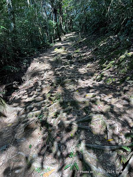 內洞國家森林遊樂區 森林浴步道29