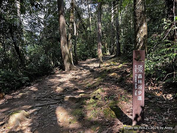 內洞國家森林遊樂區 森林浴步道30