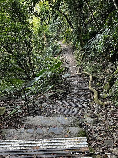 內洞國家森林遊樂區 賞景步道34