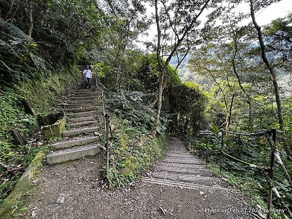 內洞國家森林遊樂區 賞景步道41