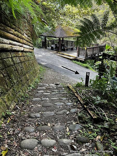 內洞國家森林遊樂區 賞景步道42