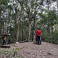 高島縱走 高台山 1510峰