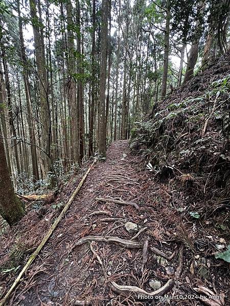 高島縱走30.JPG