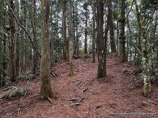 高島縱走40.JPG