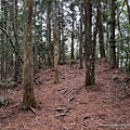 高島縱走40.JPG